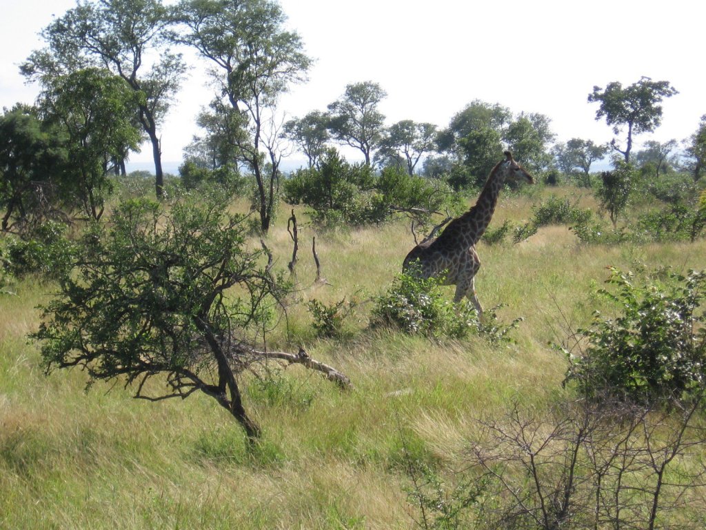 258411_10150219346820685_1350078_o