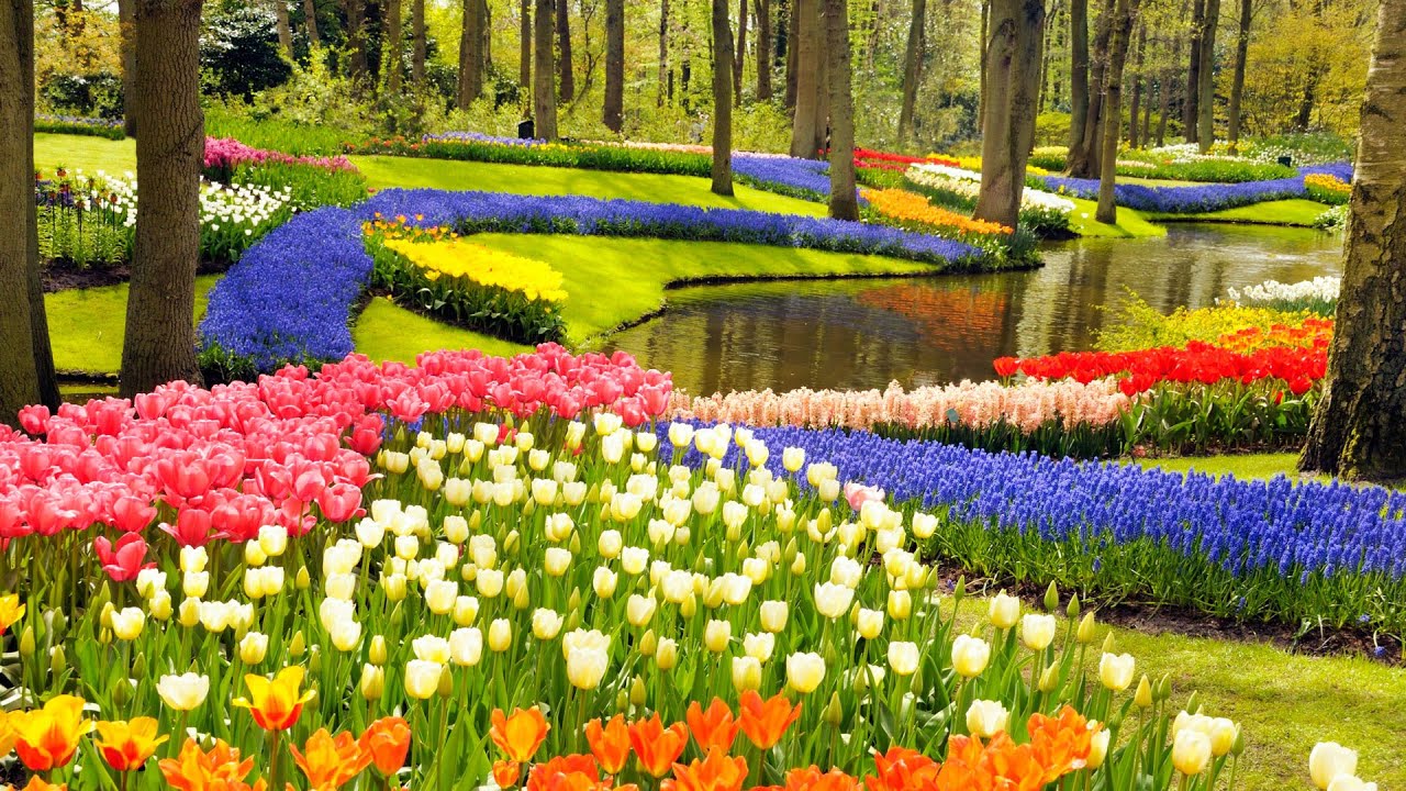 Keukenhof